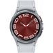 Смарт годинник Samsung Galaxy Watch 6 Classic 43 mm Silver (SM-R950NZSASEK) 61486 фото 2