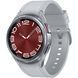 Смарт годинник Samsung Galaxy Watch 6 Classic 43 mm Silver (SM-R950NZSASEK) 61486 фото