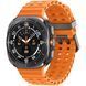 Смарт годинник Samsung Galaxy Watch Ultra (2025) Titanium Gray (SM-L705FZA2SEK) 68789 фото