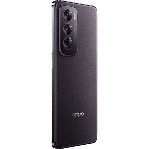 Смартфон OPPO Reno12 12/256GB Black Brown 67625 фото
