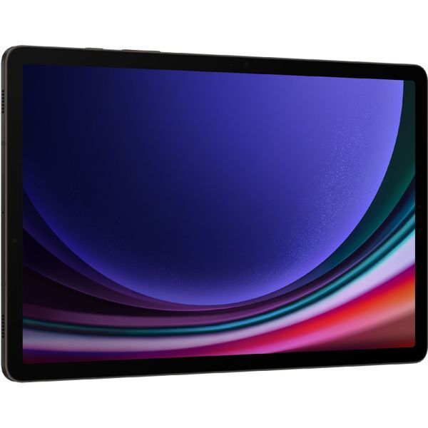Планшет Samsung Galaxy Tab S9 12/256GB Wi-Fi Graphite 61418 фото