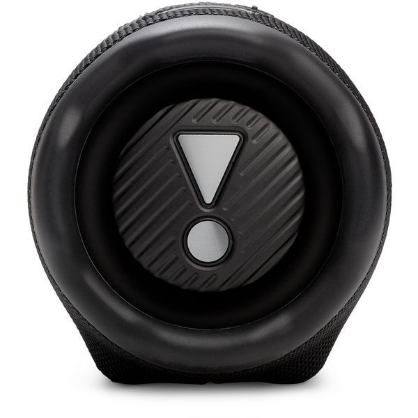 Портативная акустика JBL Charge 6 (JBLCHARGE6BLK) Black 67619 фото