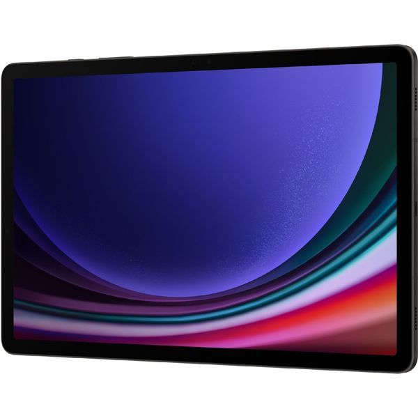 Планшет Samsung Galaxy Tab S9 12/256GB 5G Graphite 61417 фото
